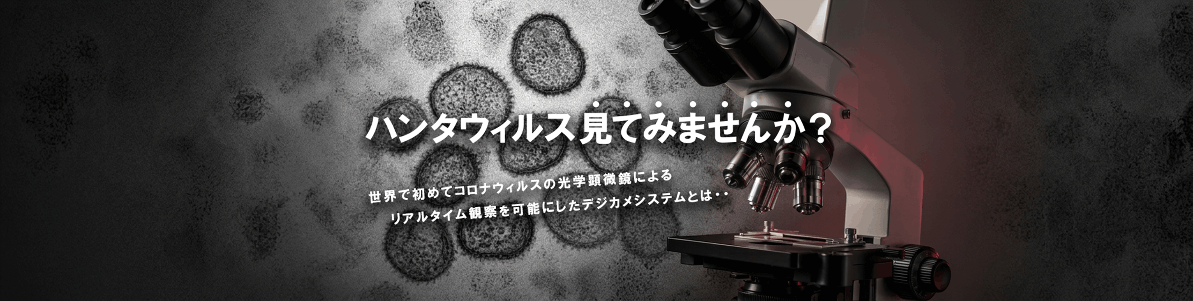ハンタウィルス見てみませんか？