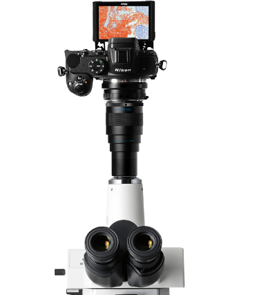 ニコン 顕微鏡撮影システム Nikon Z5ハイパーシステム | マイクロ 