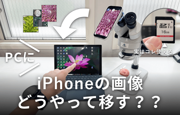 iPhoneで撮った顕微鏡写真をPCに移す方法を解説した記事のアイキャッチ