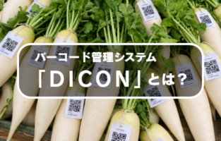 Hero image of white daikon with QR code labels, illustrating a article about the DICON barcode management system