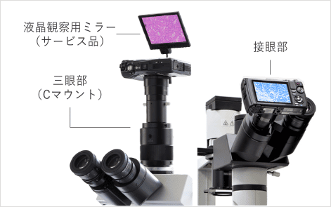 三眼部(Cマウント)に取り付けたTG-7の液晶画面を、液晶観察用ミラー(サービス品)で見る仕組みの図解